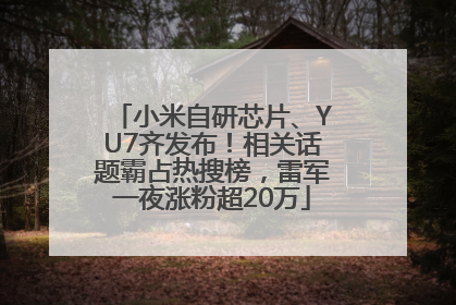 小米自研芯片、YU7齐发布！相关话题霸占热搜榜，雷军一夜涨粉超20万